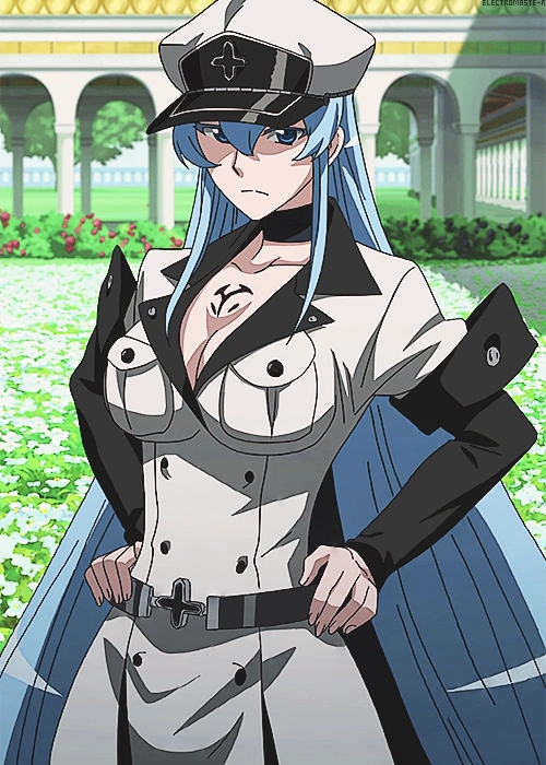 Top 20 Darkest Female Characters in Anime | Esdeath | AnimeKing 