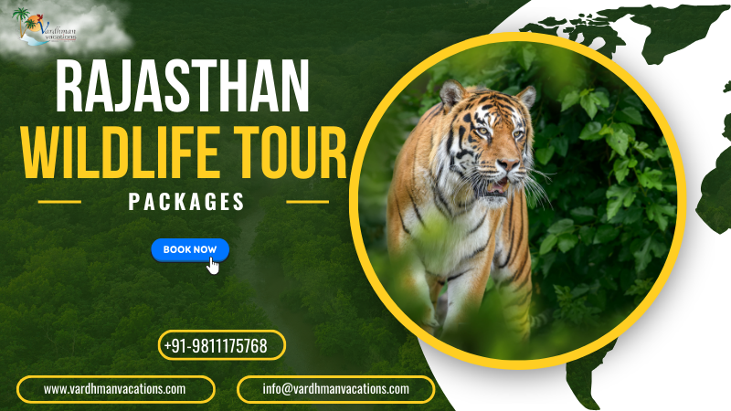 Rajasthan Wildlife Tour 