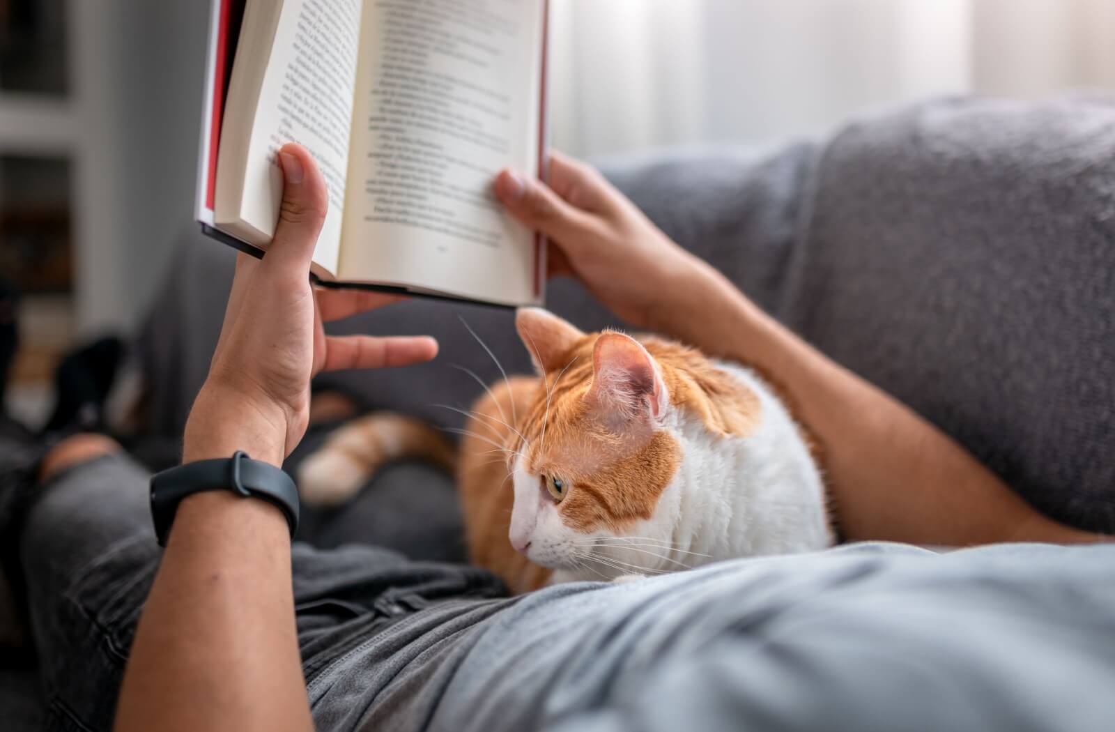 Close-up of a person reading a book to relax while a cat sits on their lap.