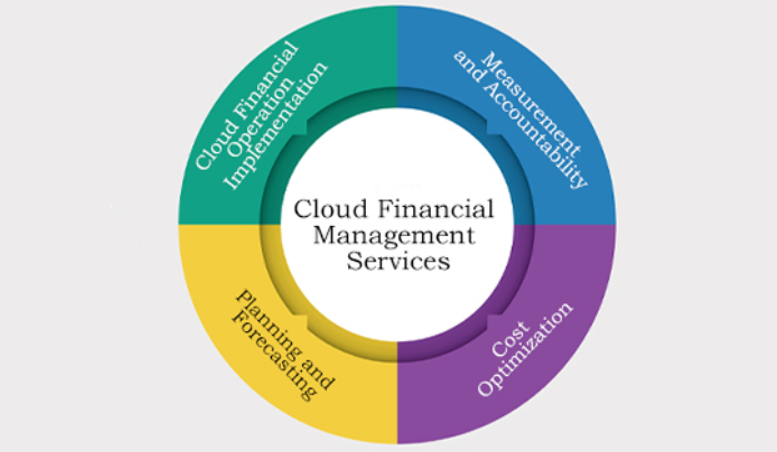 Categories of Cloud Financial Management Services