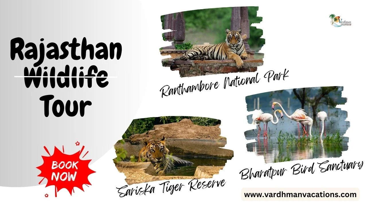 Rajasthan Wildlife Tour