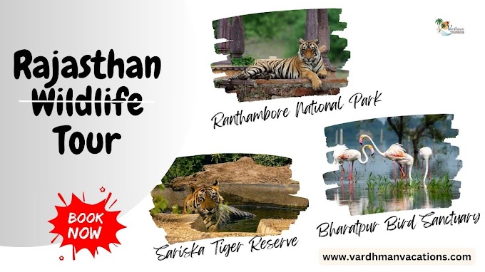 Calling All Wildlife Lovers: Your Rajasthan Wildlife Tour Awaits!