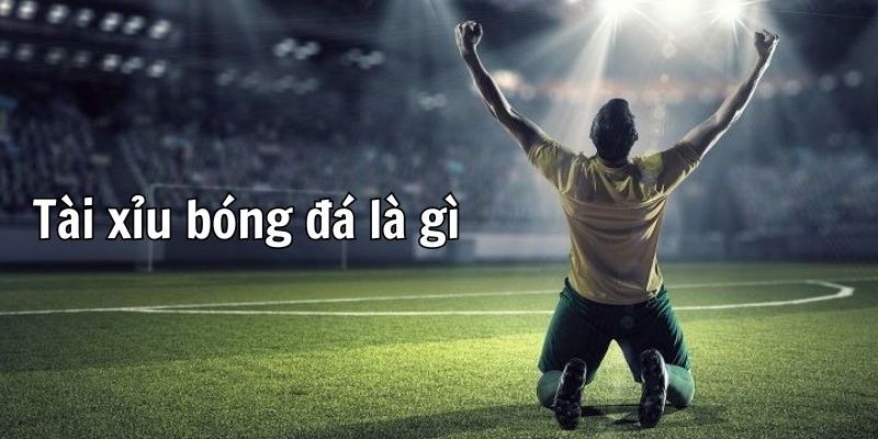 Sơ lược chung về kèo tài xỉu 8xbet