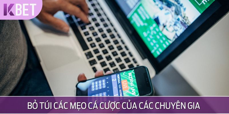 minh hoạ kèo cược của các chuyên gia