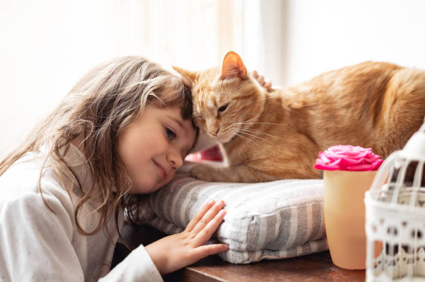 Trusted experts at Green Machine Pest Control provide effective bed bug treatment safety for kids and pets, ensuring your home stays pest-free and family-friendly.