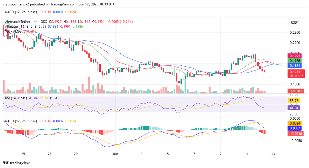 الرسم البياني للأربع ساعات ALGO/USD. مصدر الصورة: TradingView