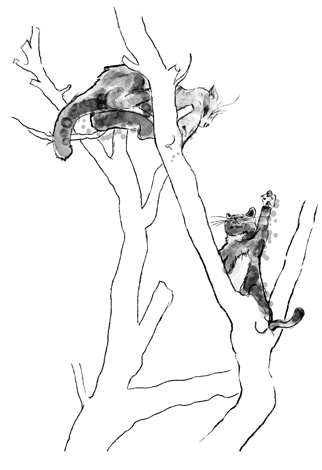 Katzenbuch_Baum_V2_BW.png