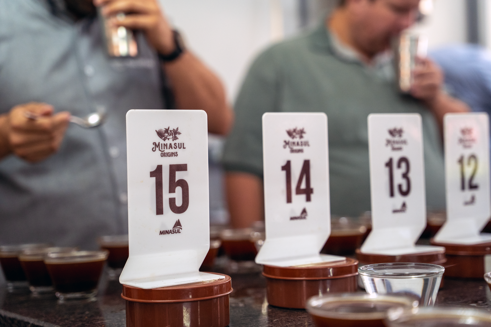 Cupping de prova de café no Sul de Minas Gerais