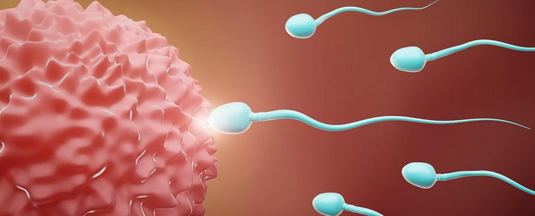 Tratamento para infertilidade
