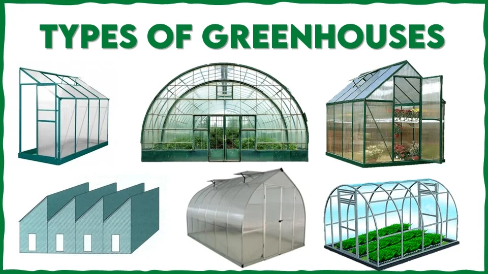 Types of Greenhouses