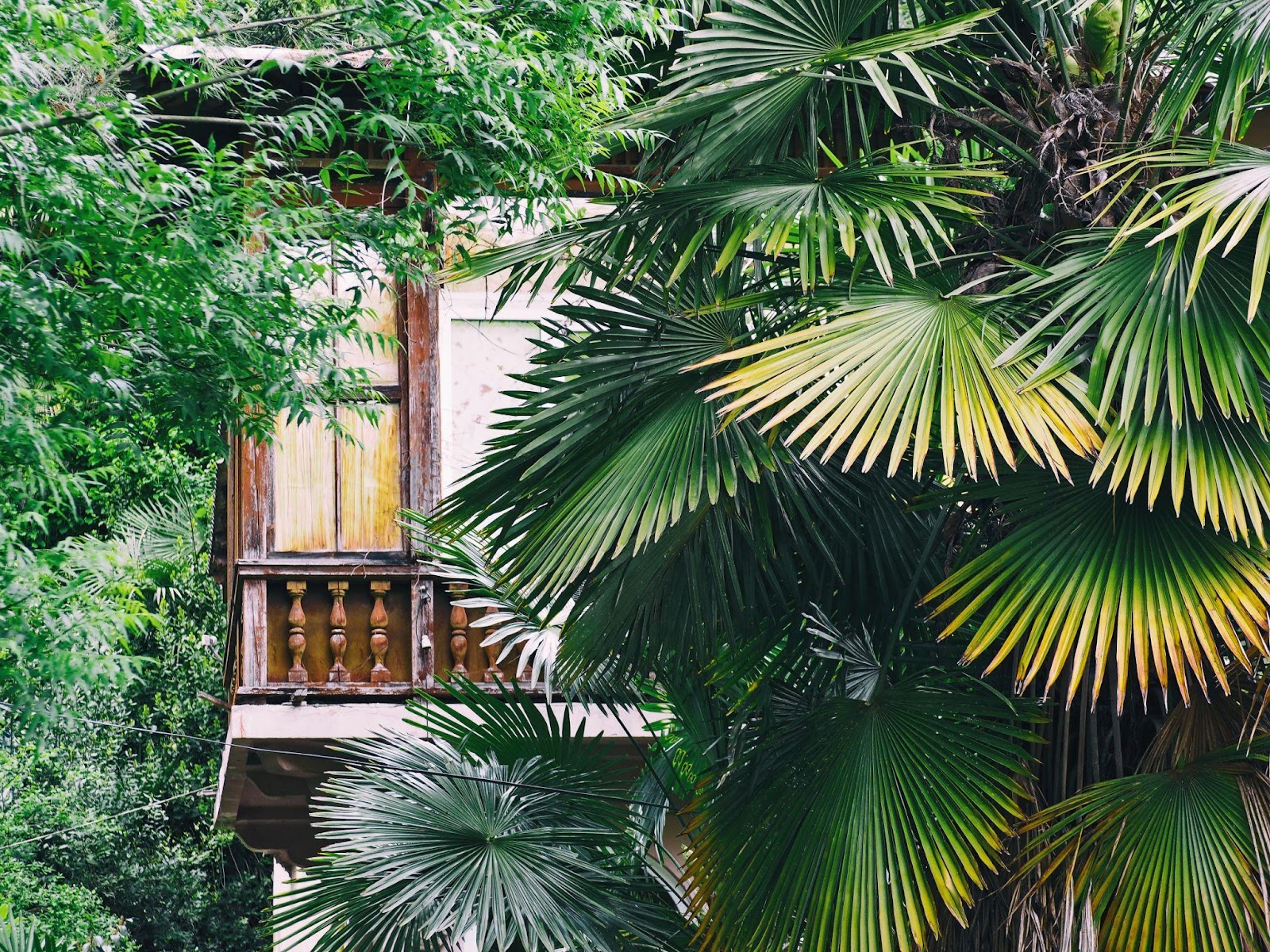 eco-friendly lodges in Costa Rica