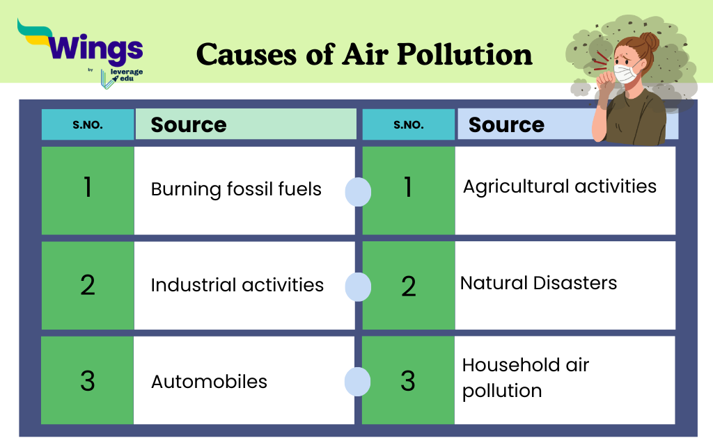 Facts About Air Pollution for Students 
