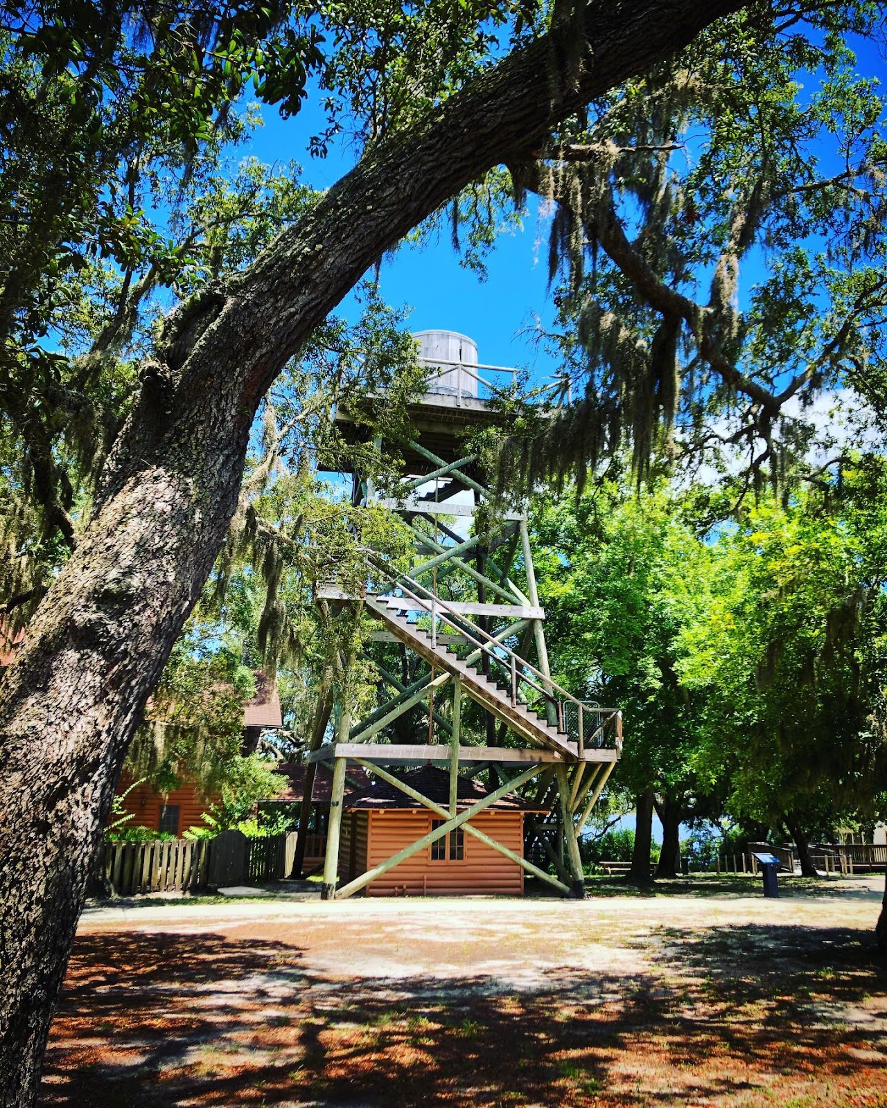 Camp Helen State Park