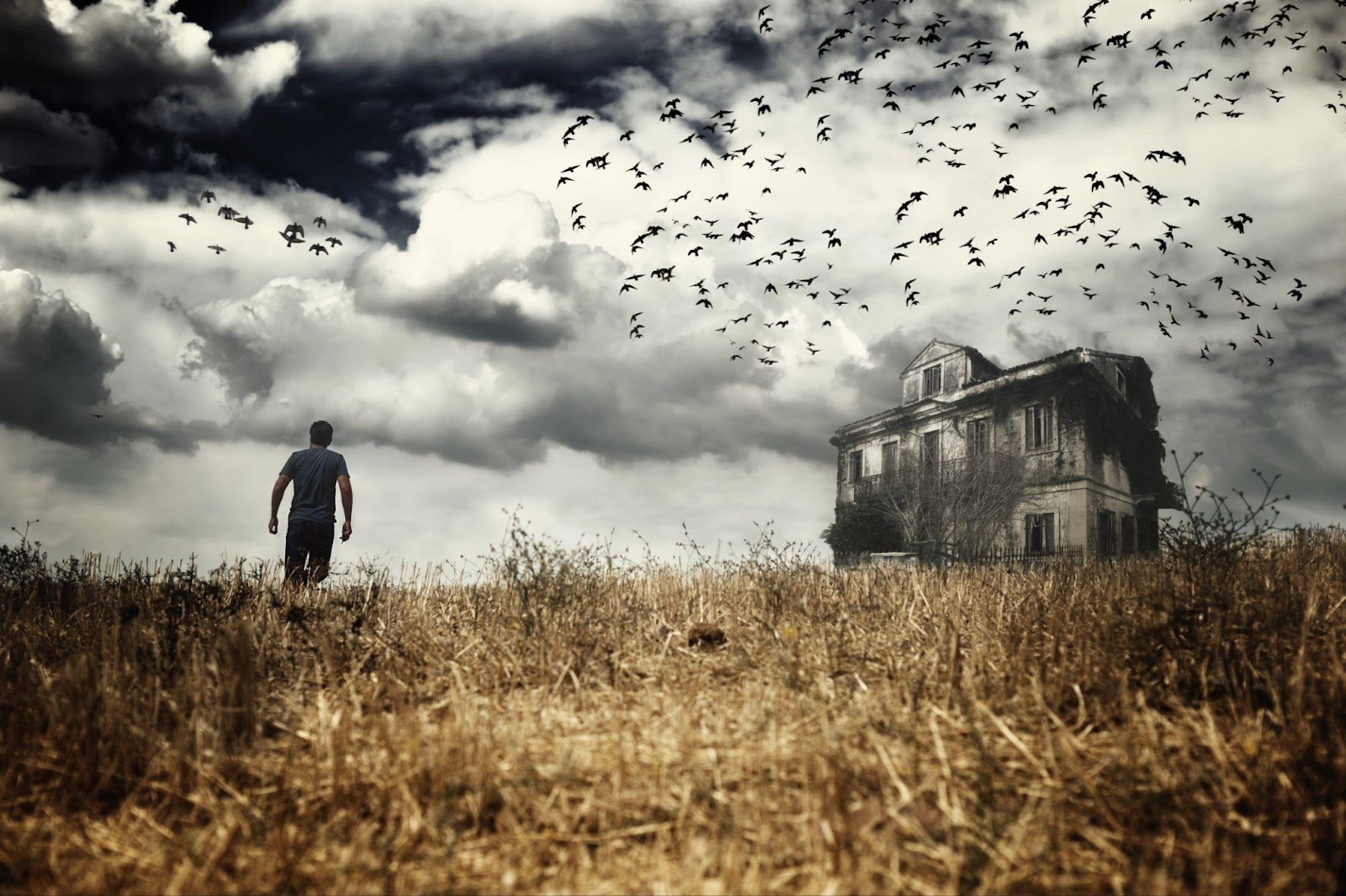 Man walking in a field toward a haunted house