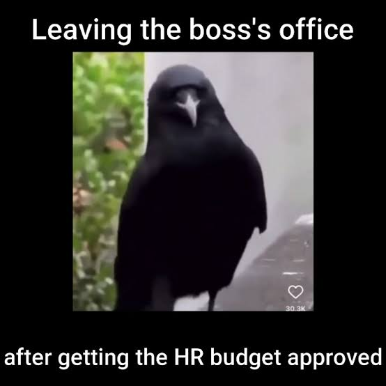 HR-Meme: HR-Budget genehmigt