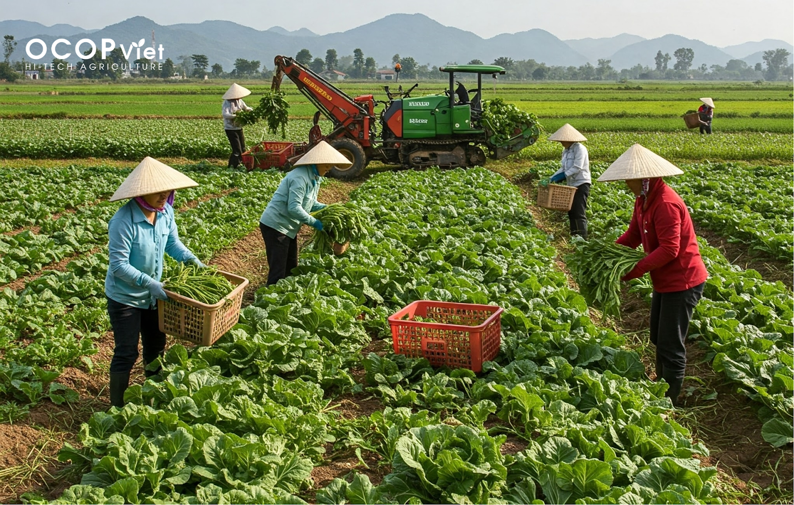 xu hướng xuất khẩu nông sản 2025