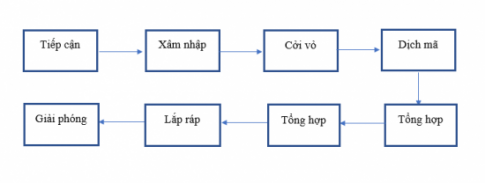 BÀI 25 - MỘT SỐ BỆNH DO VIRUS VÀ CÁC THÀNH TỰU NGHIÊN CỨU ỨNG DỤNG VIRUS