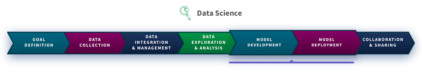 data science