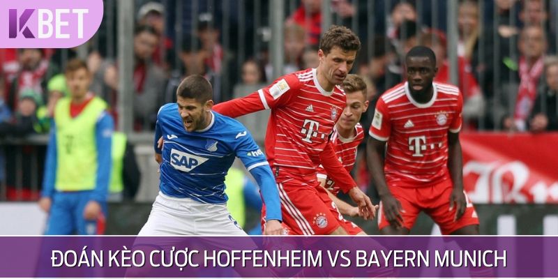 Đoán tỷ số trận Hoffenheim vs Bayern Munich