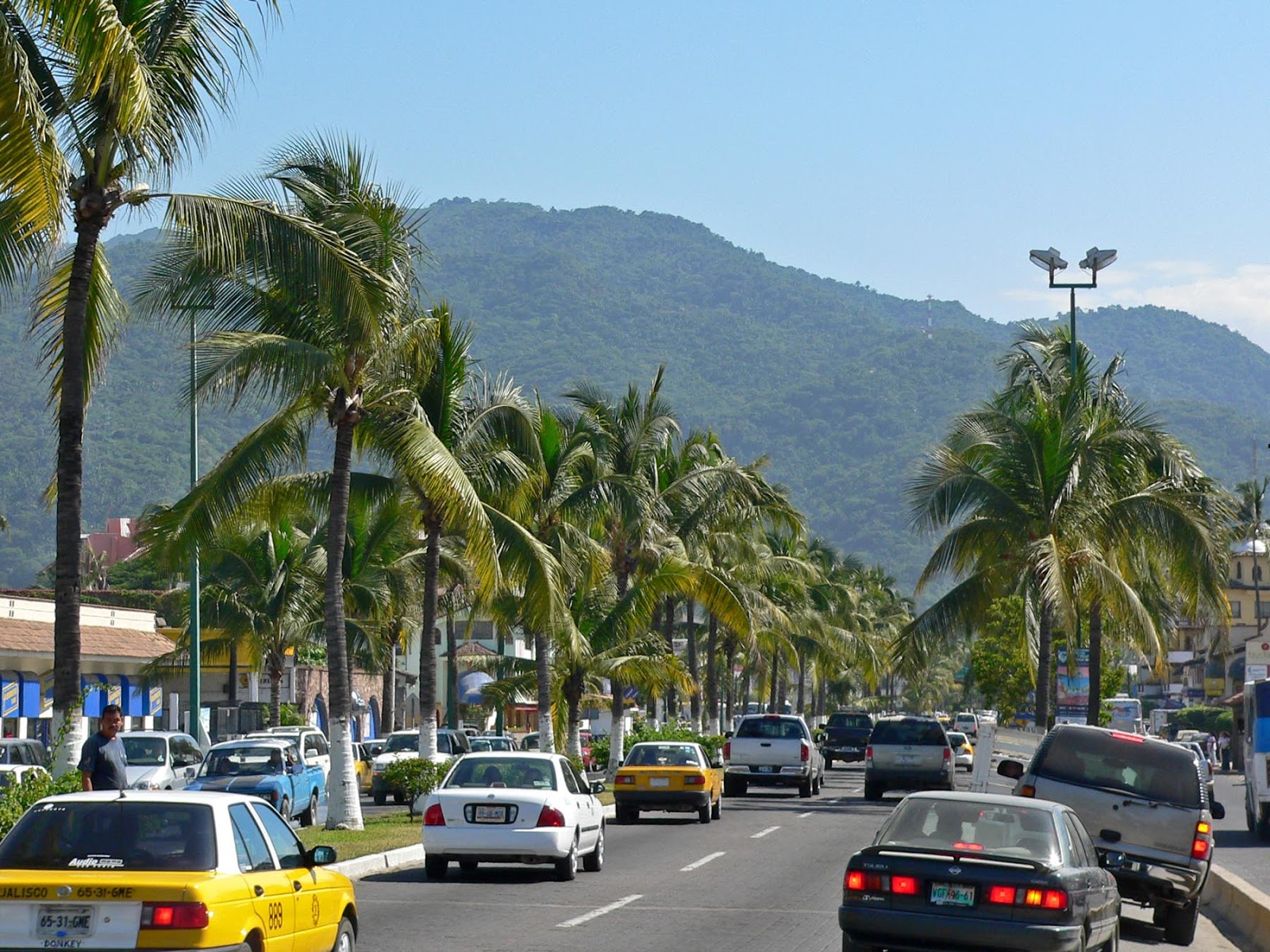 Tall trees on the sides of streets and cars and taxis running on the streets and beautiful mountains covered with trees in Puerto Vallarta