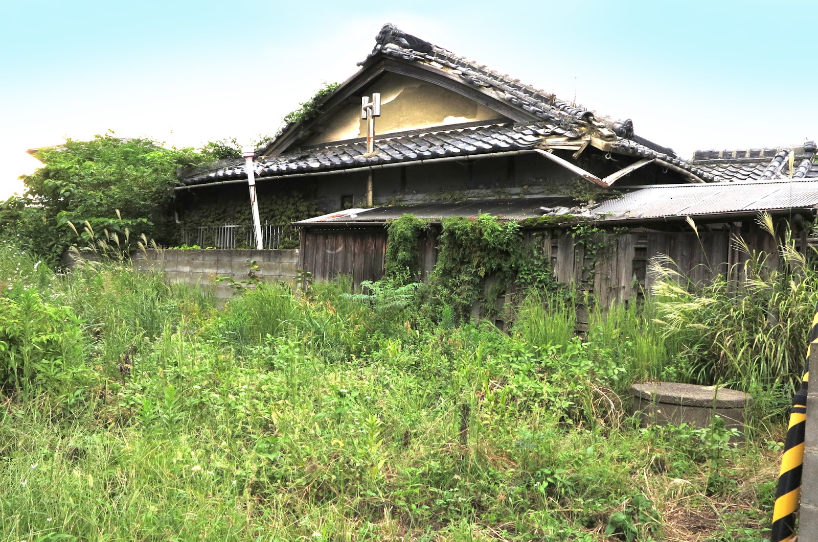 雑草が生い茂る管理されていない空き家。土地選びで注意すべき荒れた周辺環境の一例
