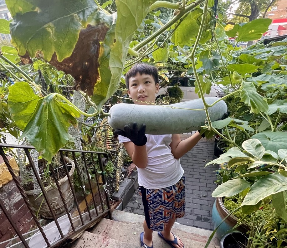 A young boy holds a large vegetable connected to a vining plant in front of Pho Viet.