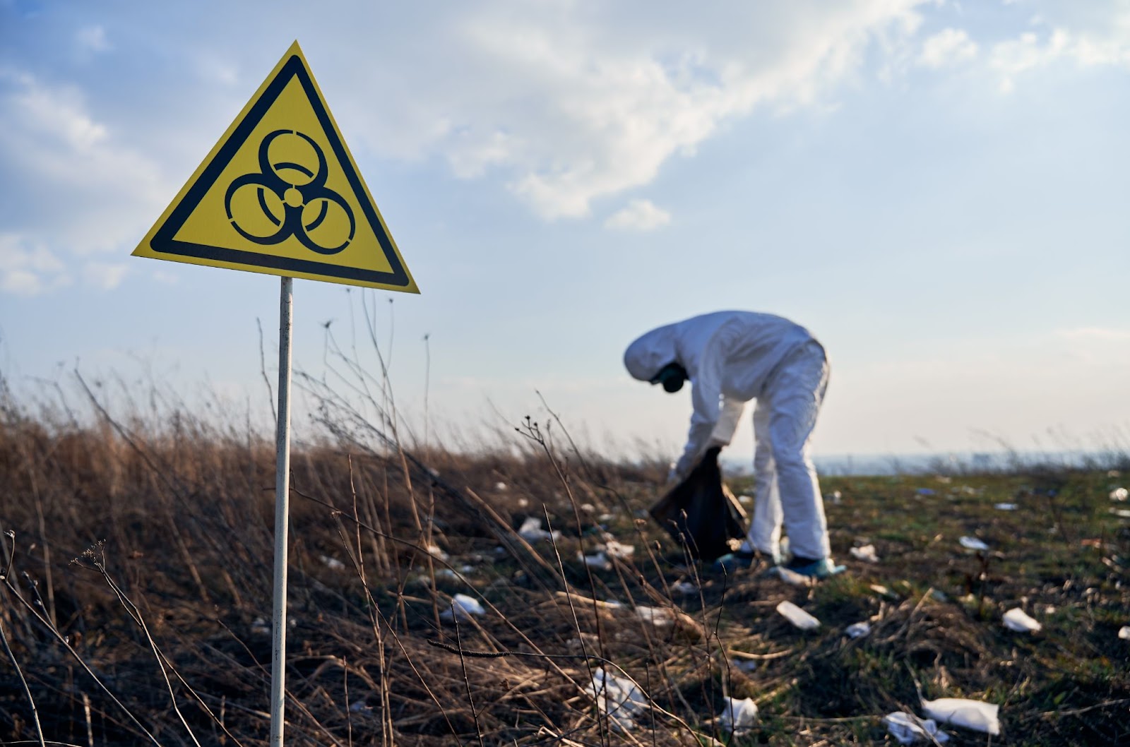 heavy metals in soil