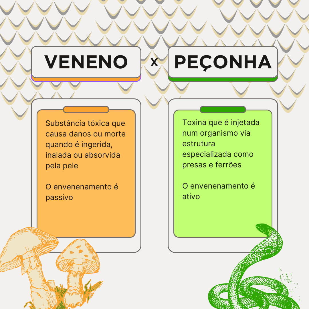 Esquema Gráfico da comparação VENENOS e PEÇONHAS