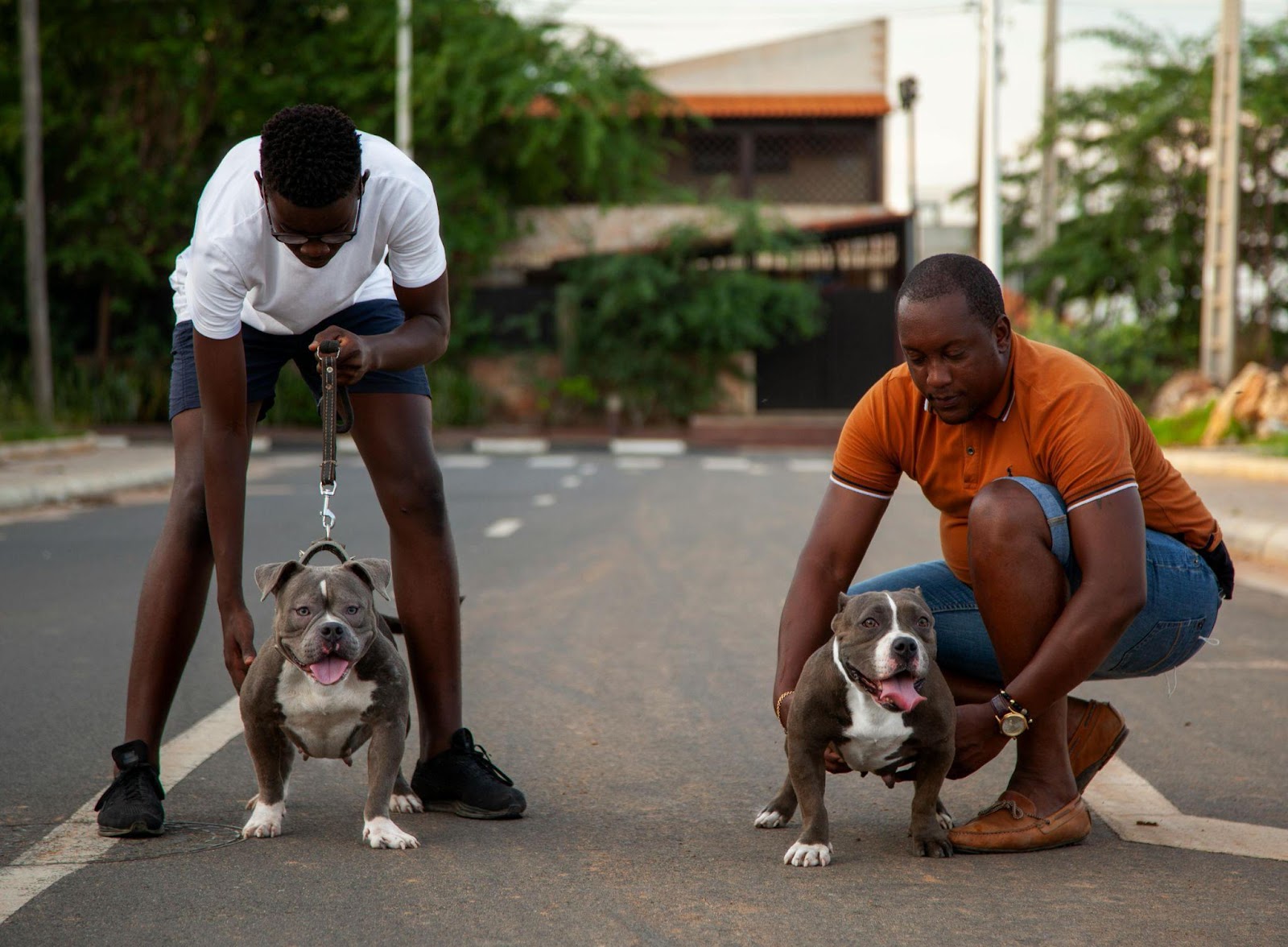 Boxers