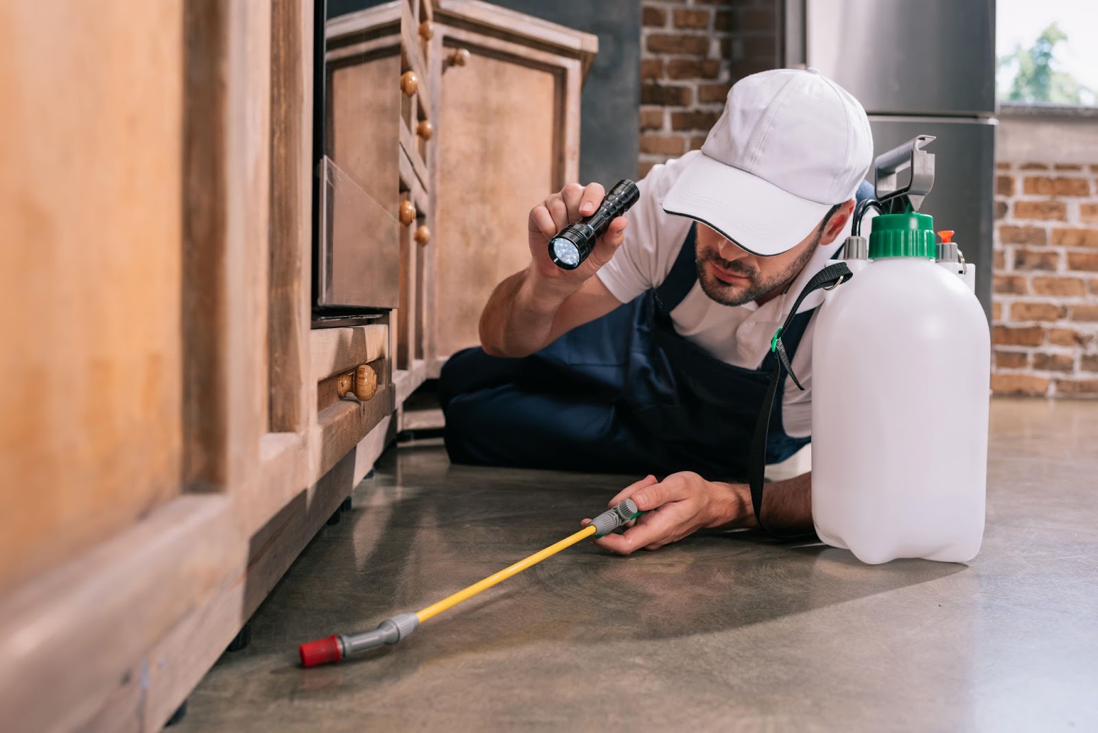 Close-up of a professional termite inspector at work in a modern kitchen.