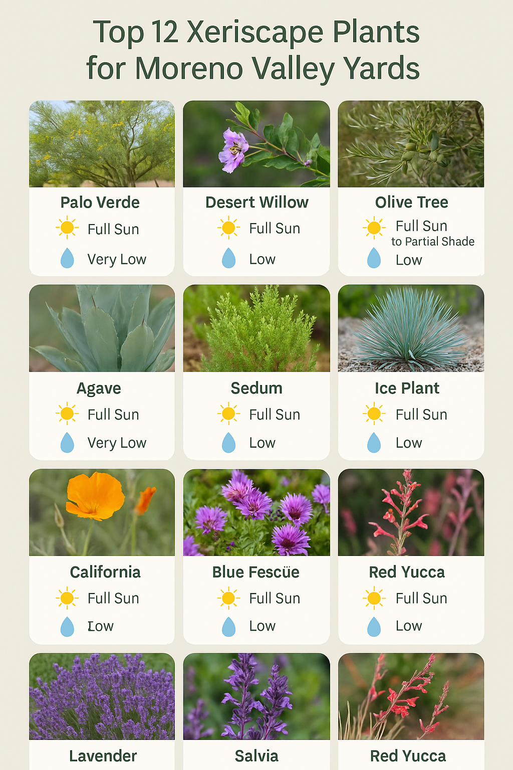 Moreno Valley Xeriscape Plant Options