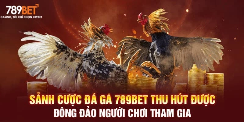 AD 4nXeGB4XvEM4Y toRmrev lu2VcJeo6vqlyRJbcLPtSSK6ZbEjB 8XeTI2HMioj3Ud2UmREGDJpTsR84154ZpBucSjMzOUFNCi7bAcrsJEe3n