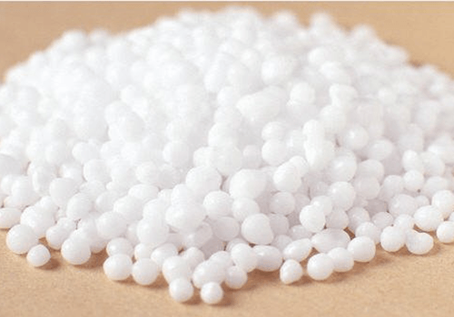 Bệnh nứt thân, xì mủ: Nguyên nhân, triệu chứng & cách phòng trị