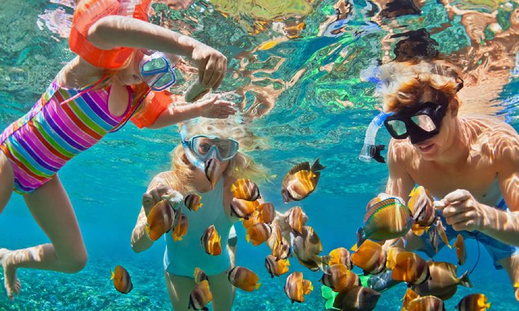 Family-friendly Activities in Cabo San Lucas