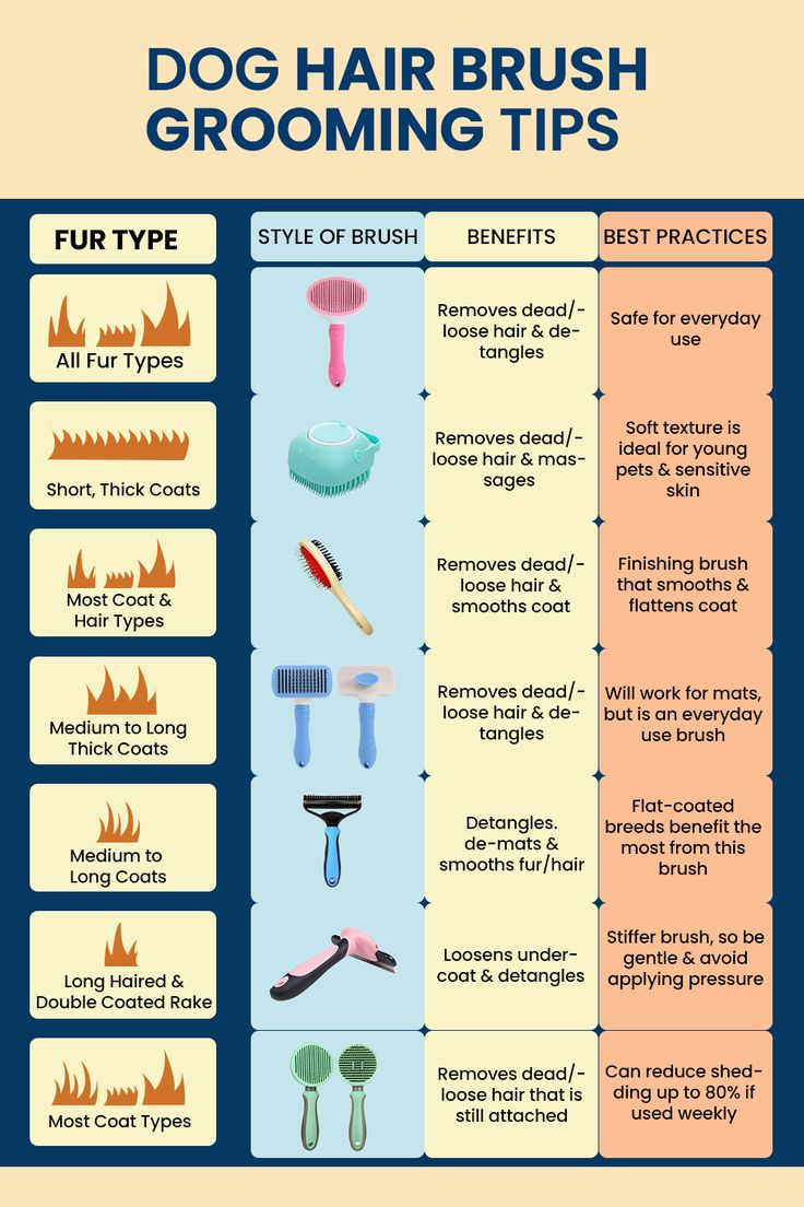 dog-brushes-for-small-dogs