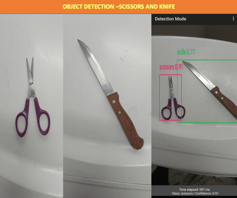 Detecting Multiple Objects