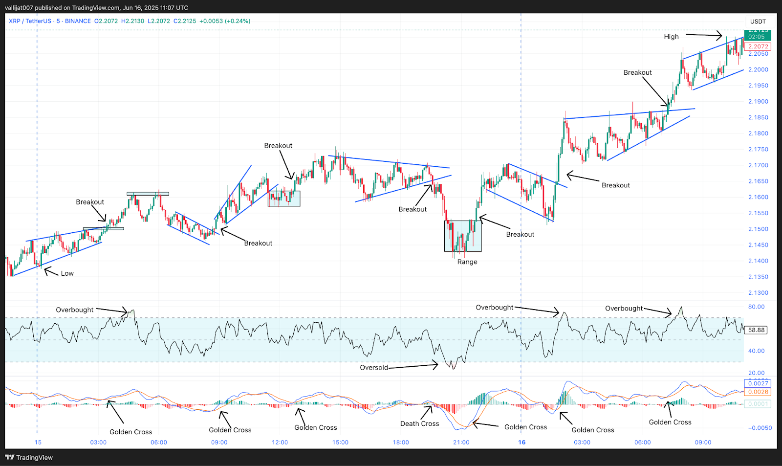 Chart 21: XRP/USDT M5 Chart, Analysed by vallijat007, published on TradingView, June 16, 2025
XRP price