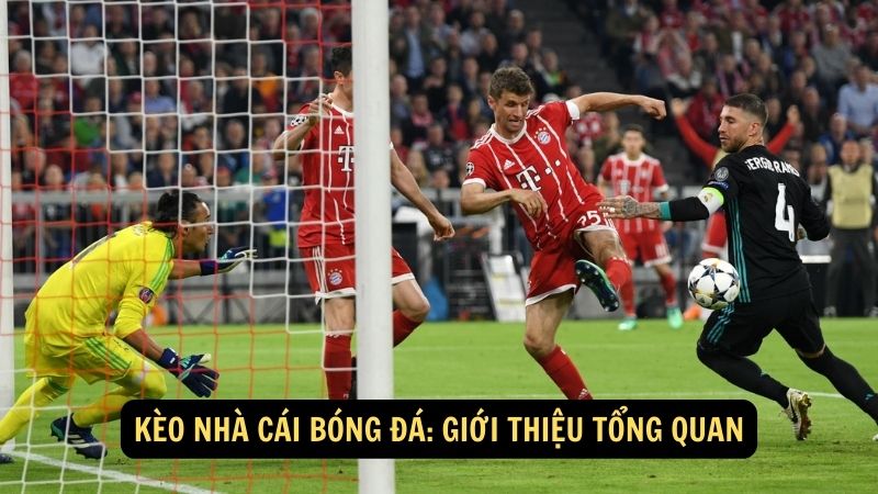 Kèo nhà cái bóng đá: Giới thiệu tổng quan
