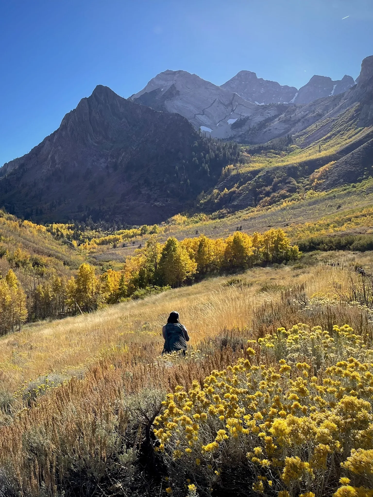 mcgee creek trail fall colors 