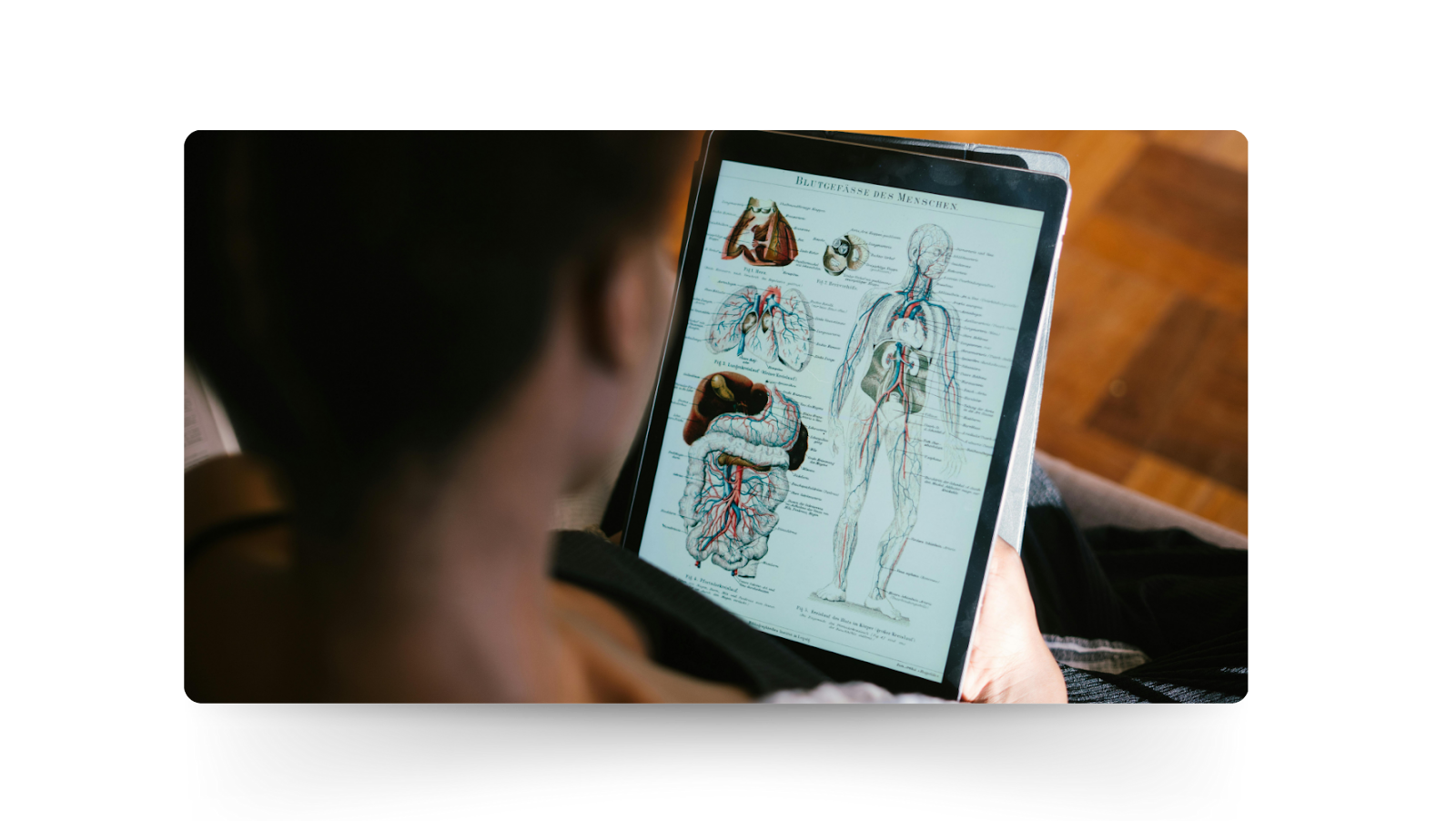 iscrizione a medicina