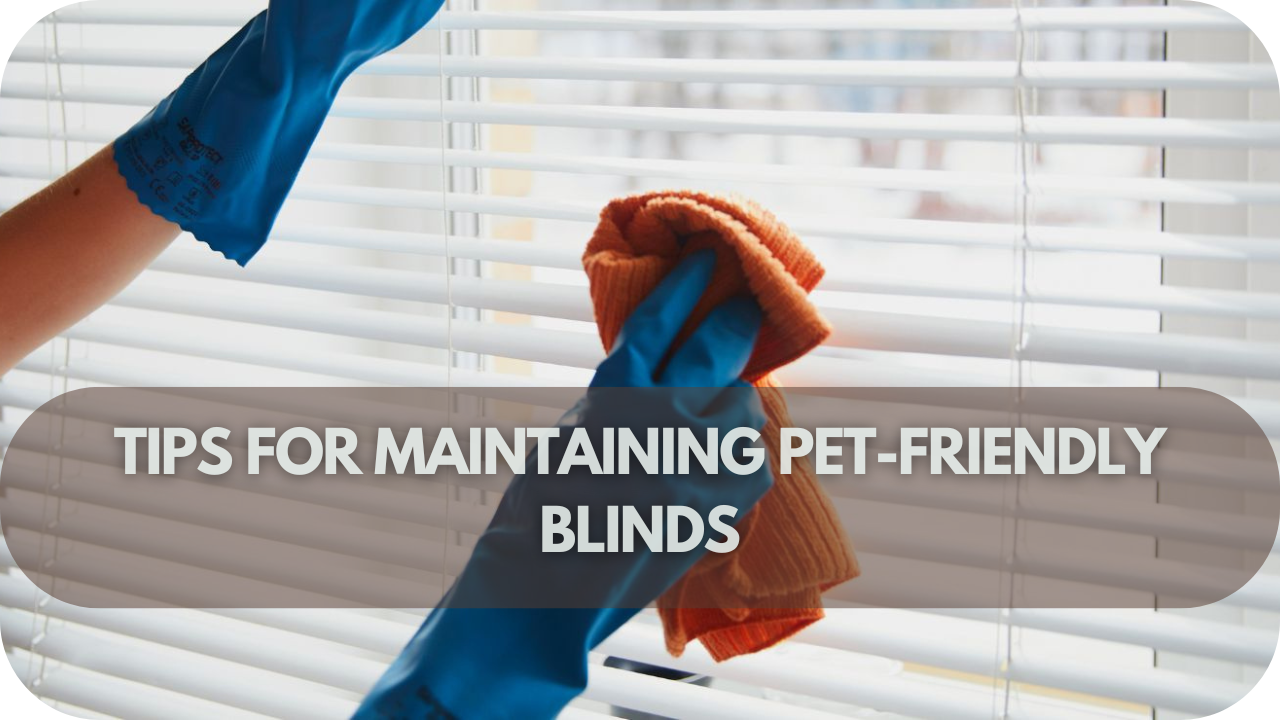 Simple tips to keep your pet-friendly blinds looking new