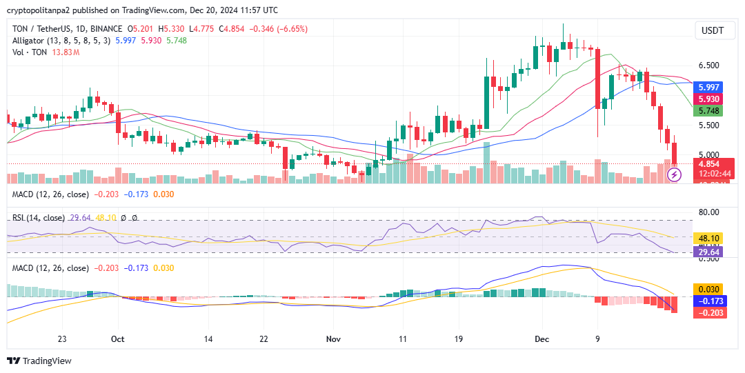 TON/USD 1-day chart. Image Source: TradingView