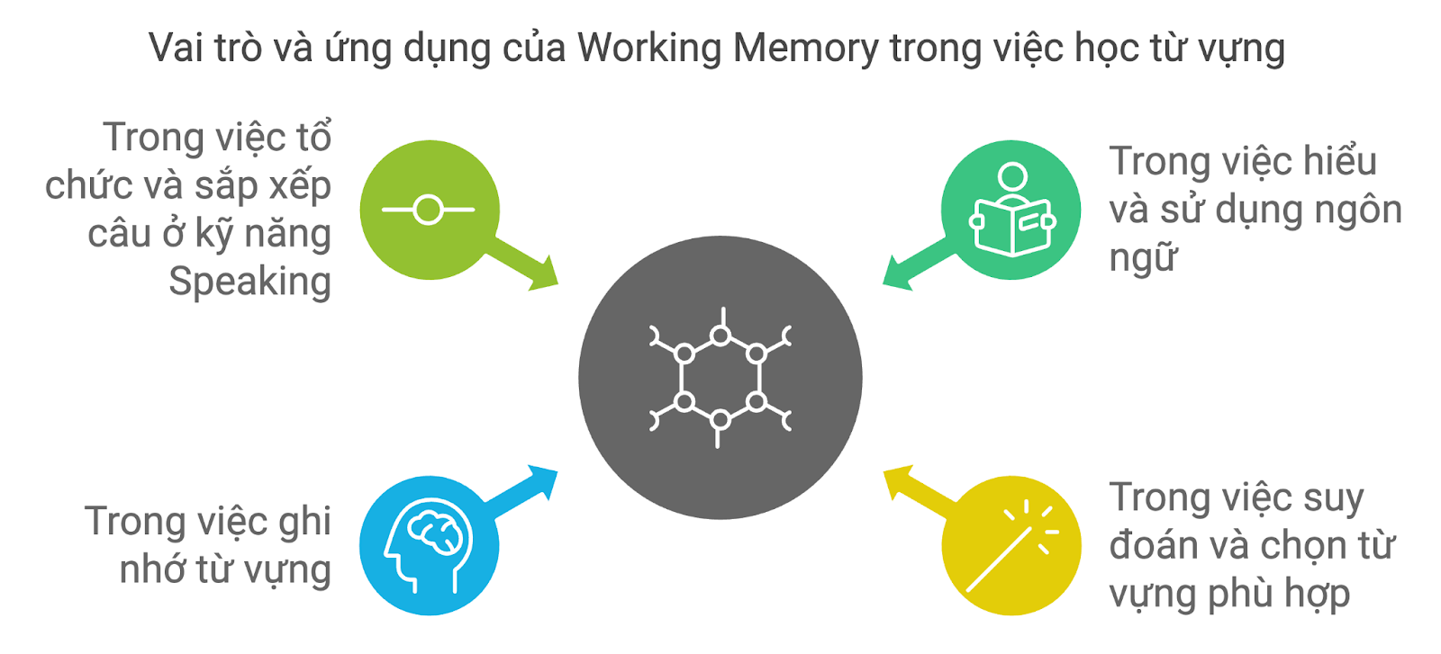 working memory là gì