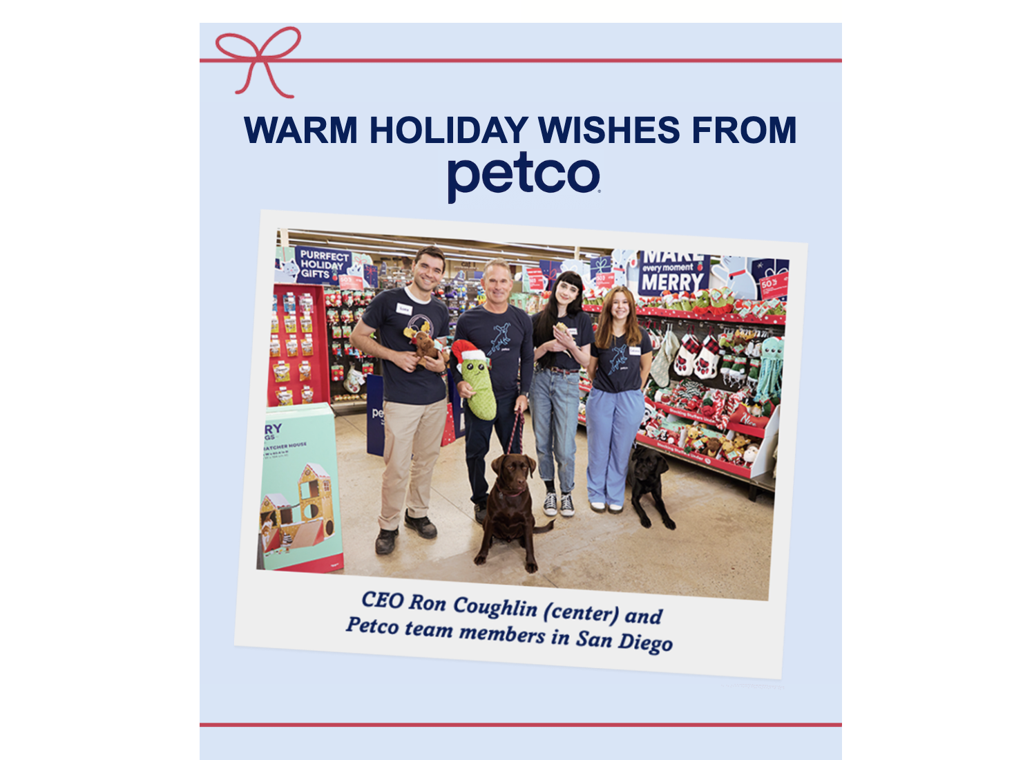 New Year marketing idea from petco