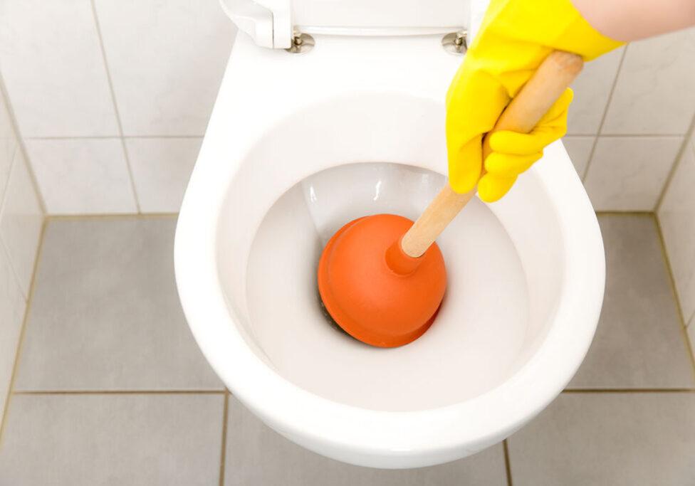 DIY Fixes for a Blocked Toilet a Comprehensive Guide 1