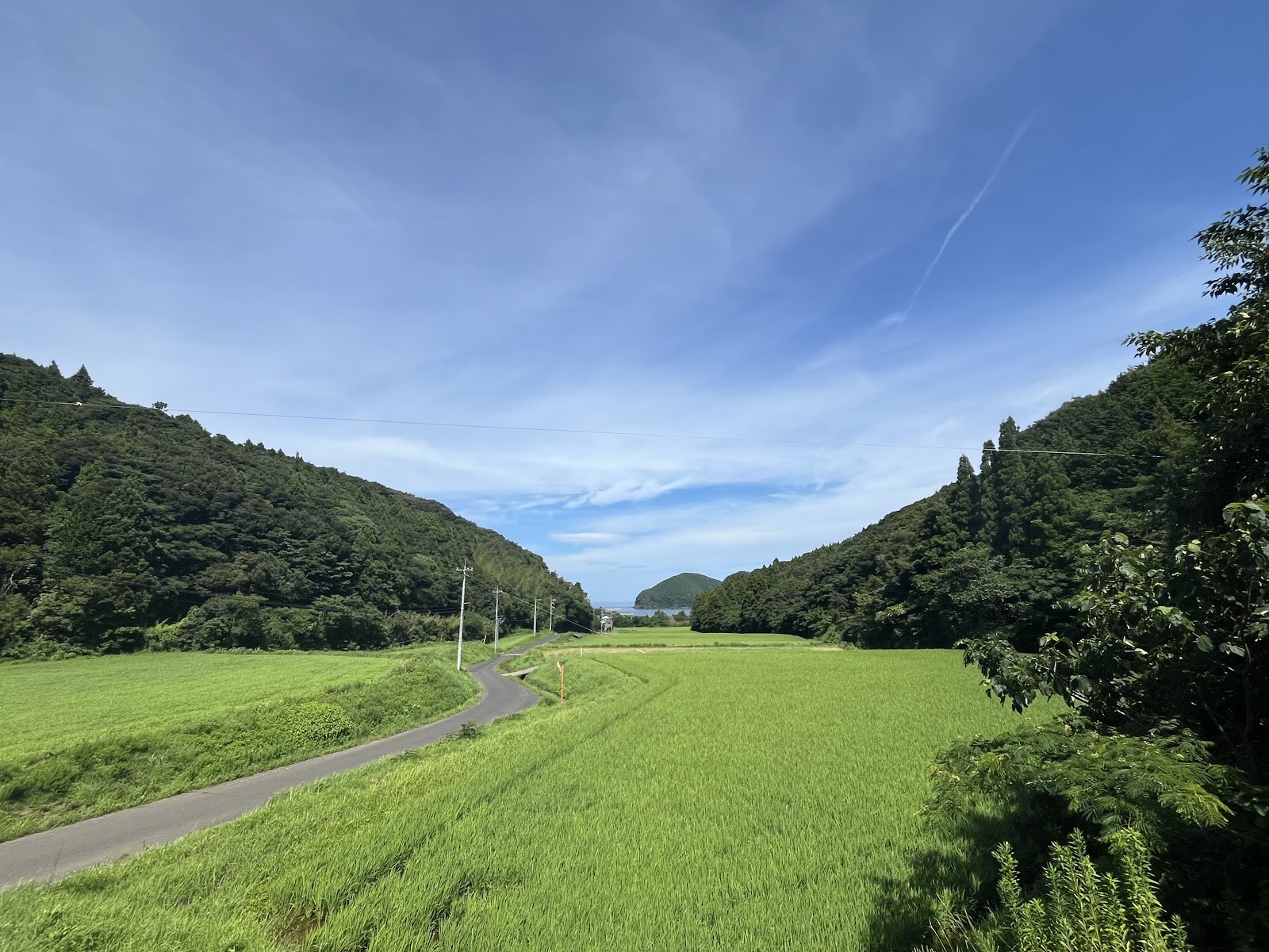 離島ながらも稲作が盛んな海士町