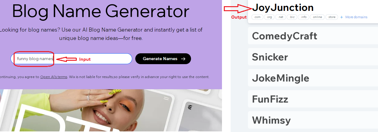 Input and output of the Wix blog name generator