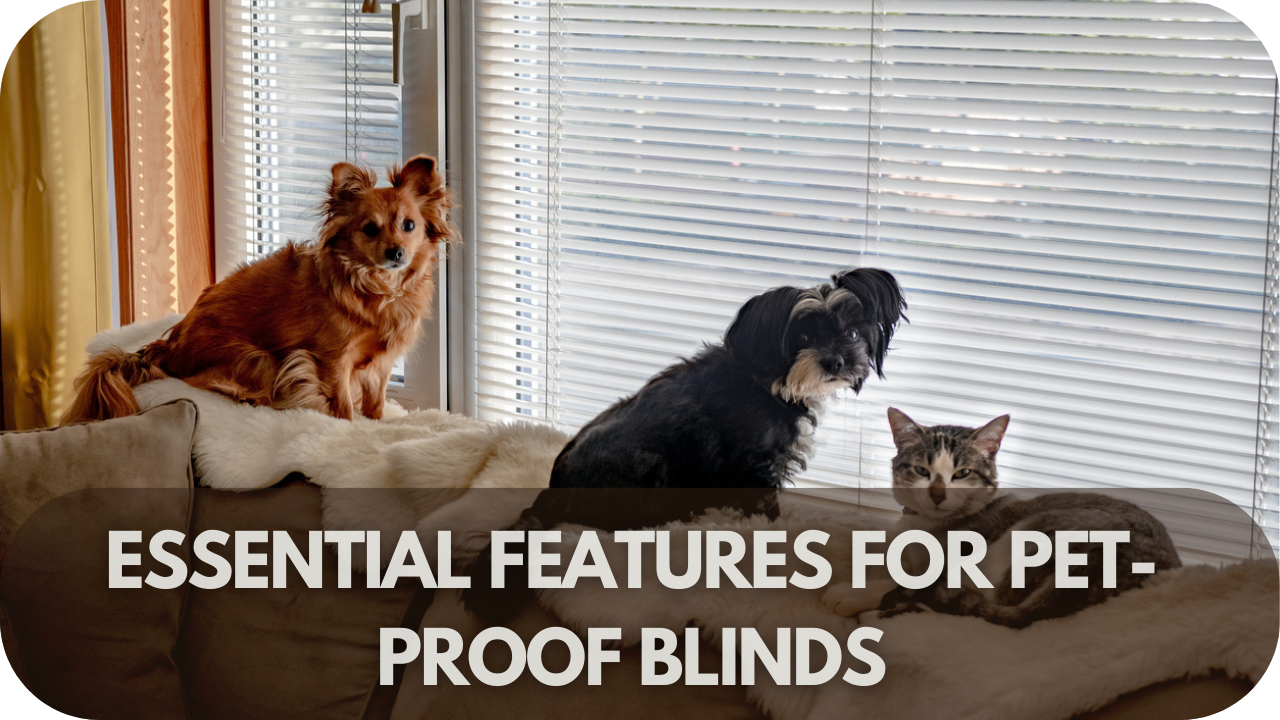 Key features to make your blinds pet-proof and durable