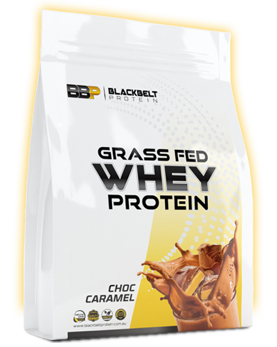 whey protein gold standard 5kg