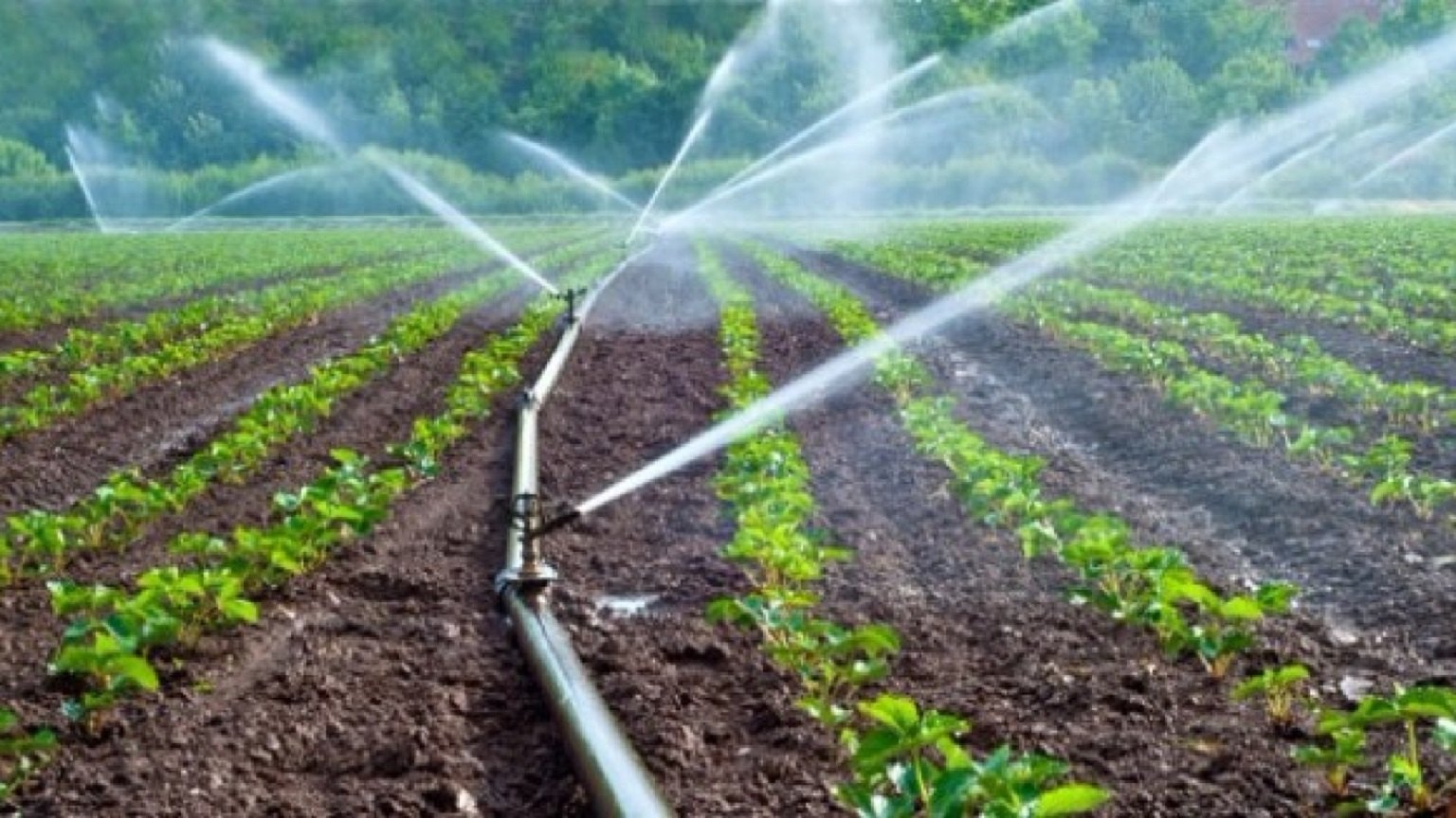 farming techniques in india